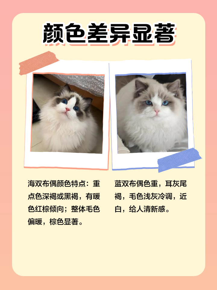 34fae6cd7b899e516b25609050a7d933c9950d8e.png