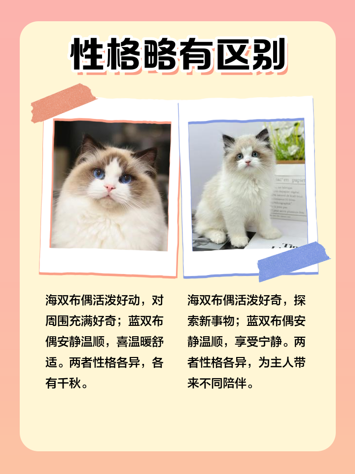 0e2442a7d933c895b8d5c2ffc31373f08302008e.png