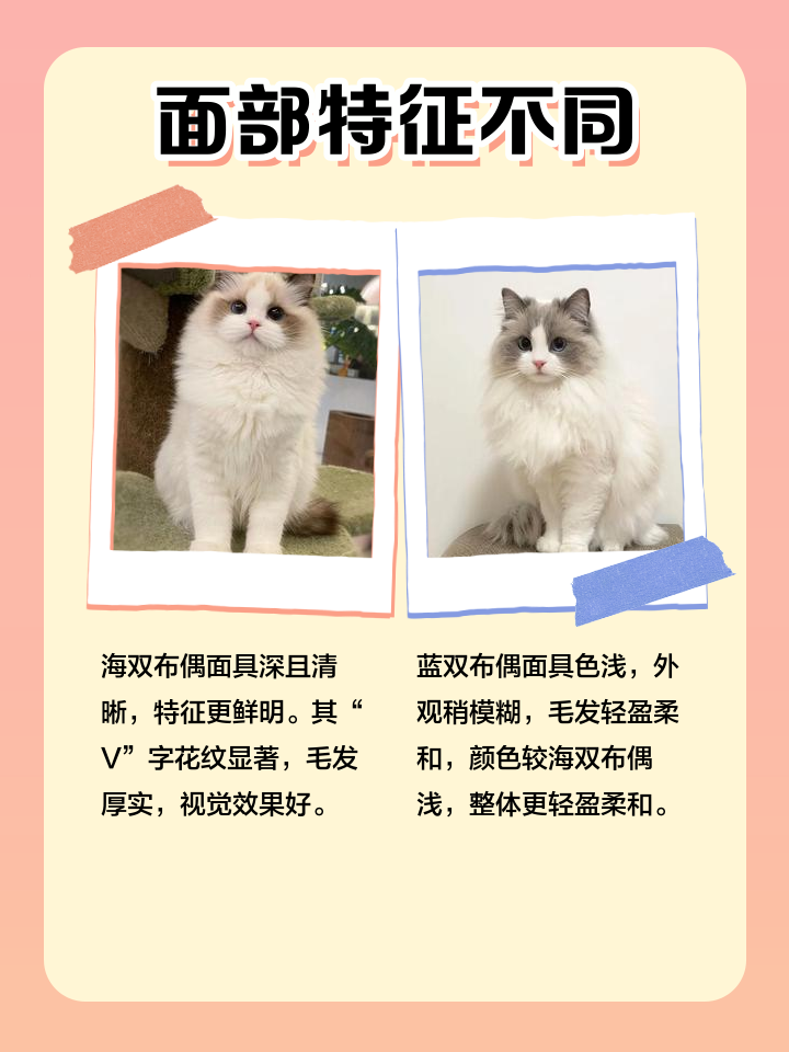 7a899e510fb30f242431b687da95d143ac4b038e.png